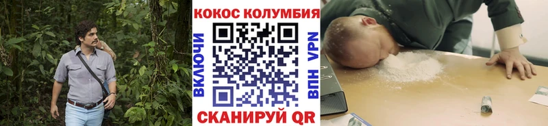 Купить  Судак  Cocaine 98% 