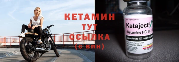 сатива Гусев