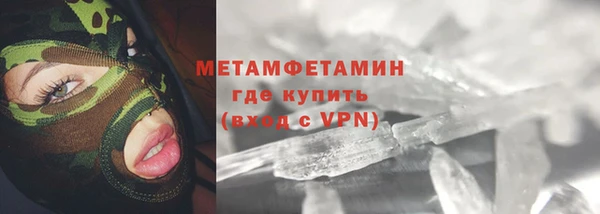сатива Гусев