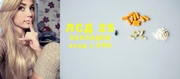 сатива Гусев