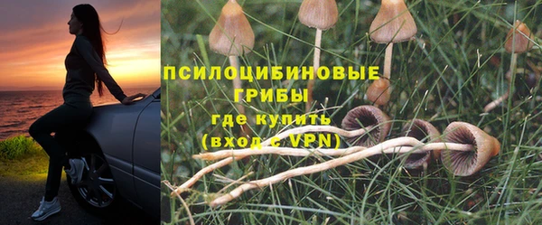 молекула духа Гусь-Хрустальный