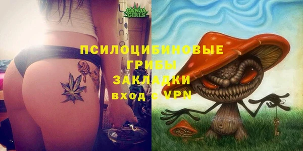 молекула духа Гусь-Хрустальный