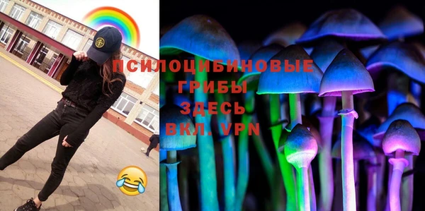 молекула духа Гусь-Хрустальный