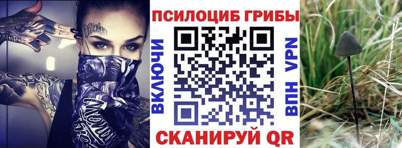 Галлюциногенные грибы Magic Shrooms  Купить где  Судак 